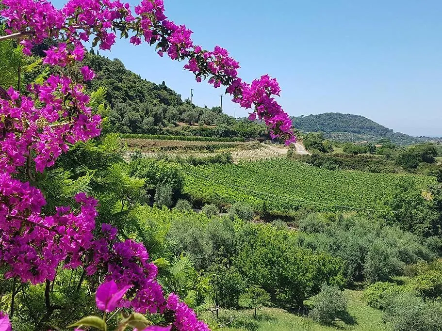 Tatil Evi Portico Montiferru Villa Scano Montiferro İtalya
